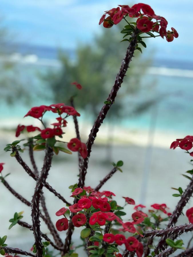 Lazzlla Beach Front Apartments Хулхумале Экстерьер фото